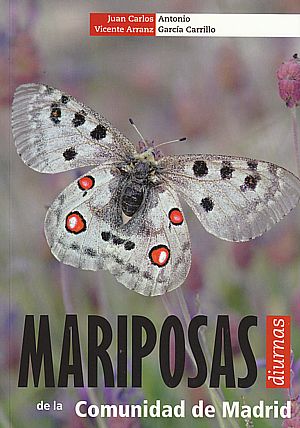 Mariposas diurnas de la Comunidad de Madrid