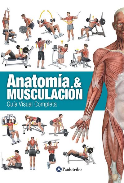 Anatomía & musculación 