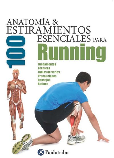 Anatomía y estiramientos esenciales para Running