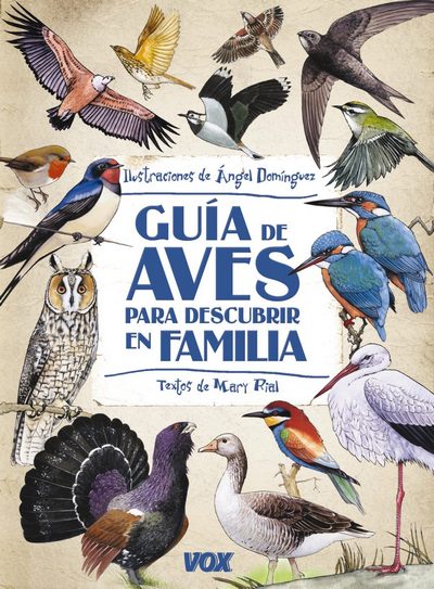 Guía de aves para descubrir en familia 