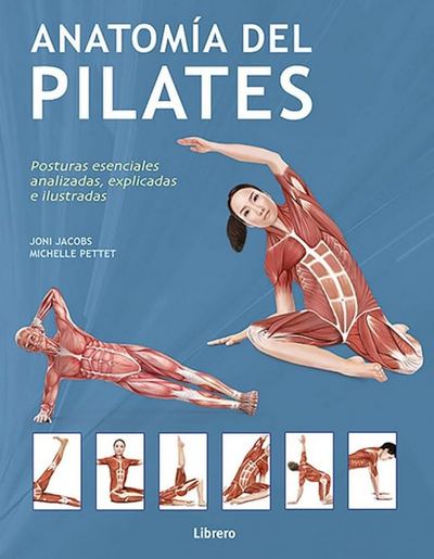 Anatomía del pilates