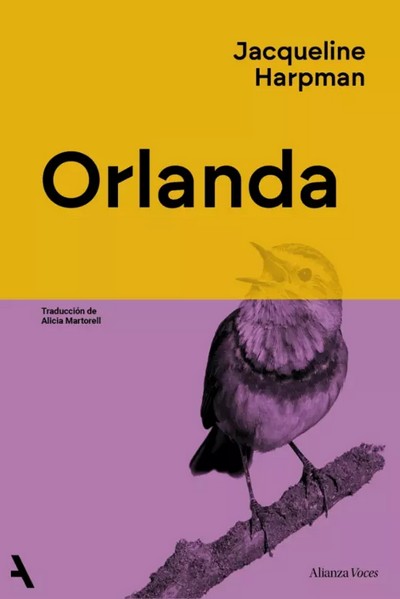 Orlanda