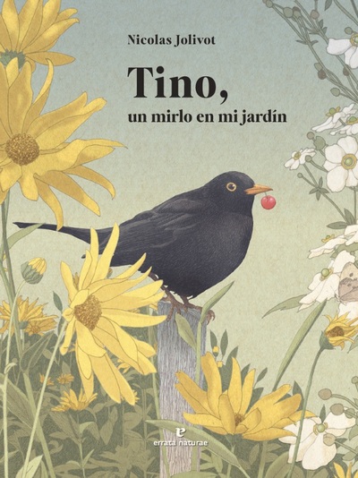 Tino, un mirlo en mi jardín