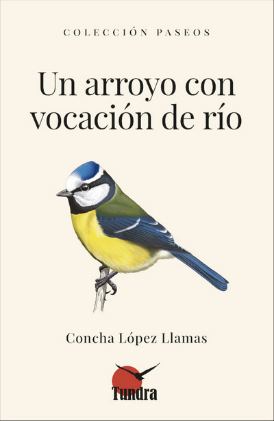 Un arroyo con vocación de río