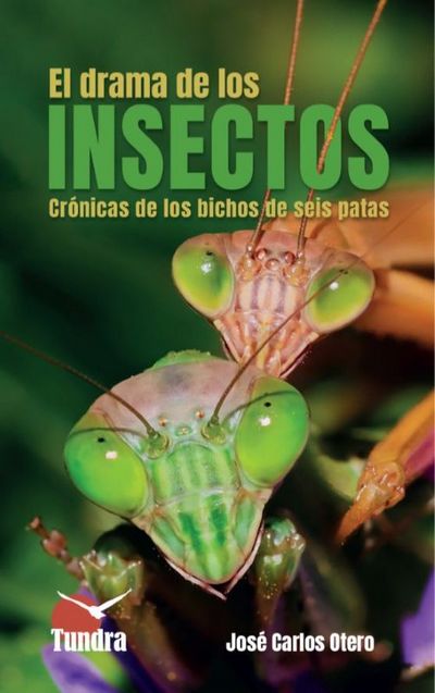 el drama de los insectos