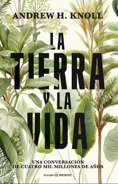La tierra y la vida