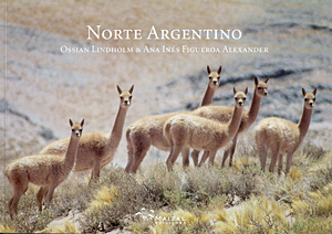 Norte Argentino