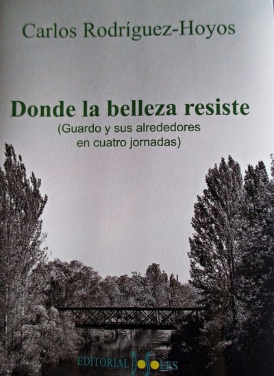 Donde la belleza resiste