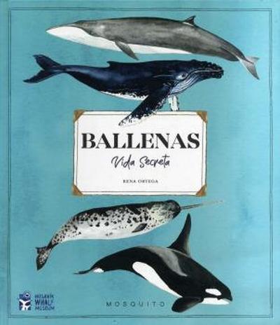 Ballenas. Vida secreta