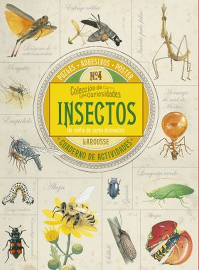 Insectos. Colección de curiosidades