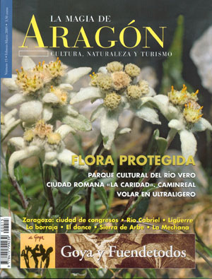 La magia de Aragón nº15. Flora protegida
