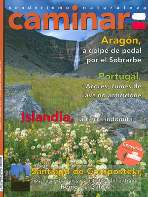 Caminar nº17