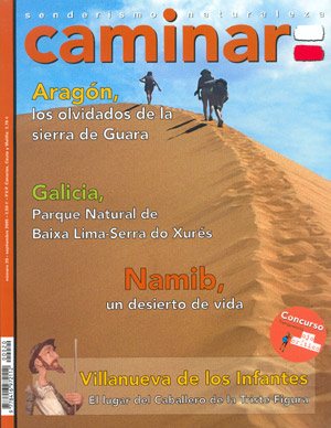 Caminar nº20