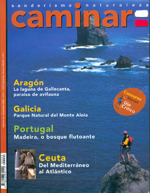 Caminar nº22