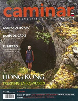 Caminar nº 41