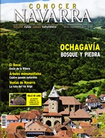 Ochagavía, bosque y piedra