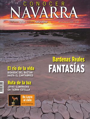 Bardenas Reales: Fantasías