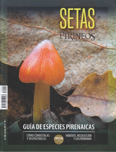 Setas, guía de especies pirenaicas