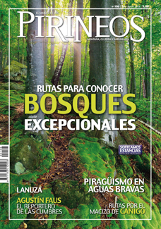 Rutas para conocer bosques excepcionales